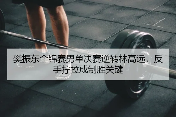 樊振东全锦赛男单决赛逆转林高远，反手拧拉成制胜关键